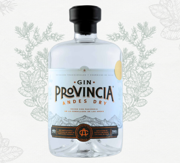 Gin Provincia Andes Dry